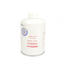 Топливный фильтр FS600534 LK0289 R791H1025BF11-02000 WBF1212